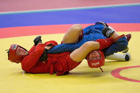 Historia del Sambo - Origen, desarrollo y legado